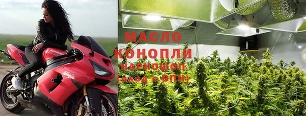индика Балахна
