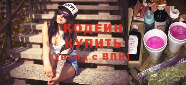 индика Балахна