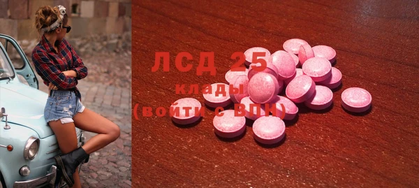индика Балахна