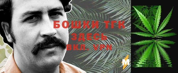 индика Балахна