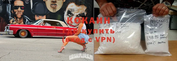 индика Балахна
